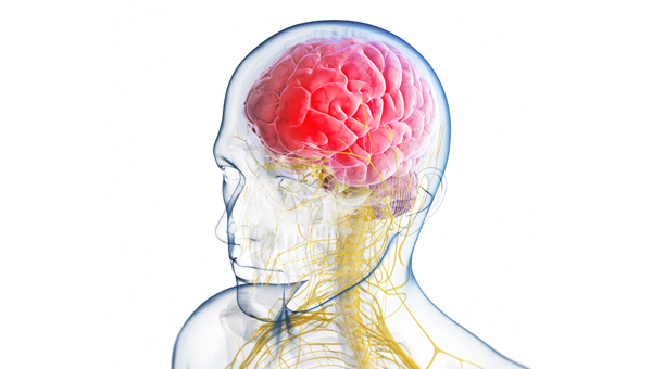 Neurologia